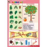 Комплект демонстрационных плакатов "Животные и растения", 5-6 лет
