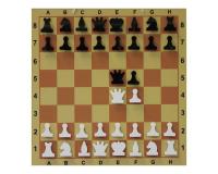 Шахматы магнитные "книжка"